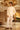 Ivory donatella Bandhgala Suit