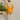 Yellow Hand Embroidered Kurta Pajama Set - Bharat Reshma